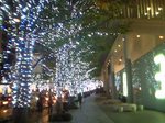 2009111217.jpg