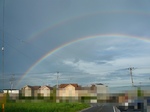 2010081103.jpg