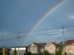 2010081104.jpg