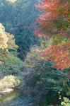 2010112101.jpg