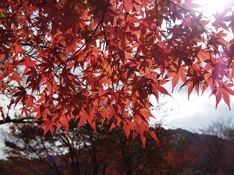 2010112809.jpg