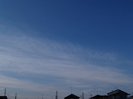 20101219e300.jpg