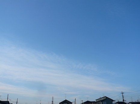 20101219lumix.jpg