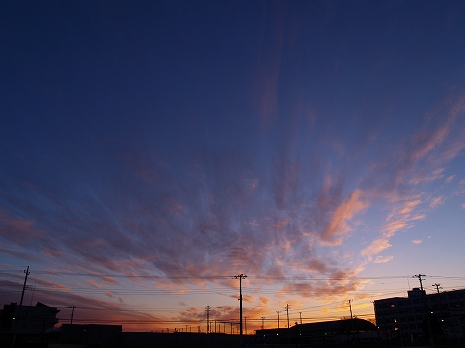 2011010101.jpg