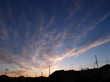 2011010108.jpg