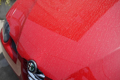2011050405.jpg