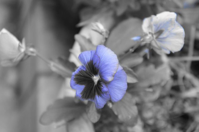2011062608.jpg