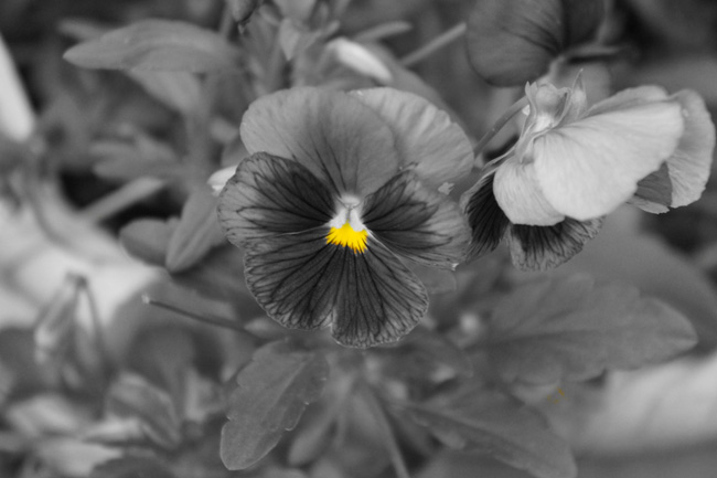 2011070302.jpg