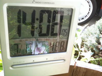 20110717002.jpg