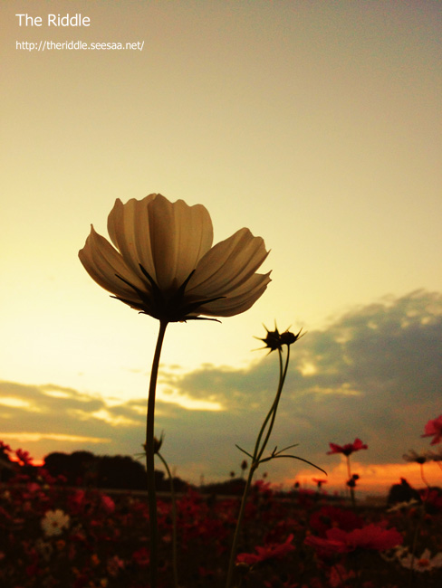 20111023c2.jpg