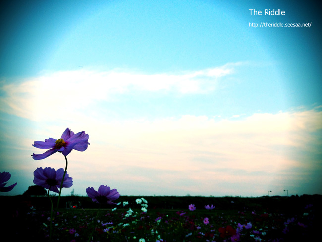20111023c3.jpg