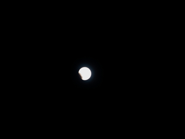 2011121102.jpg