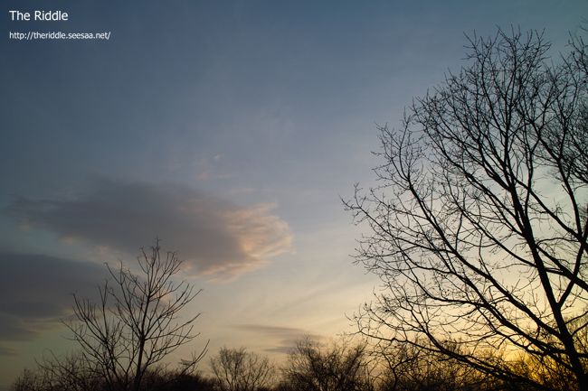2012040303.jpg