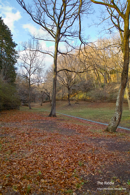 2012040304.jpg