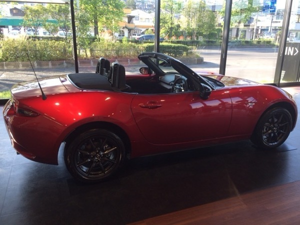 201505313.JPG