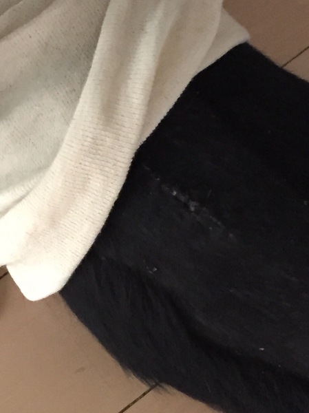 2016062602.JPG